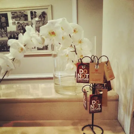 Lolli Palace Hotel 3*